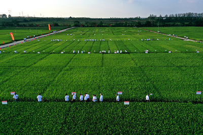 強信心&middot;走進百企|用技術創新守牢種業&ldquo;中國芯&rdquo;