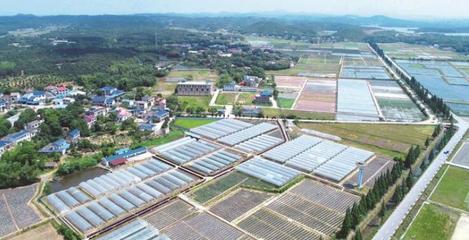 長沙縣啟動(dòng)第一批種業(yè)小鎮(zhèn)建設(shè)
