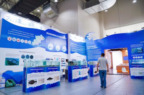 做好 藍(lán)色種業(yè) 大文章 西海岸新區(qū)水產(chǎn)企業(yè)亮相2024青島種業(yè)博覽會(huì)