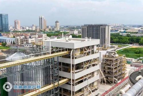 江海糧油張家港產(chǎn)業(yè)園二期榨油廠(chǎng)順利投產(chǎn)，年產(chǎn)96萬(wàn)噸助力種業(yè)與糧油產(chǎn)業(yè)鏈協(xié)同發(fā)展