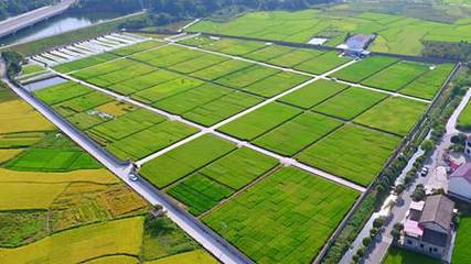 袁創(chuàng)超級(jí)稻 引領(lǐng)“十三五”種業(yè)創(chuàng)新的科技豐碑