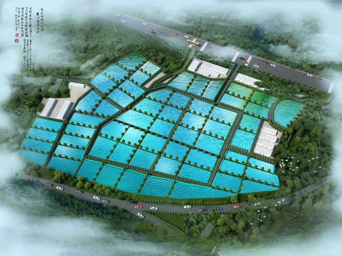 投資2.4億！水產巨頭落子九江，南?，F代水產種業迎來強勁新引擎